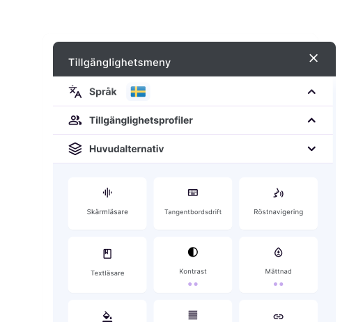 AI-powered Accessibility Widget interface